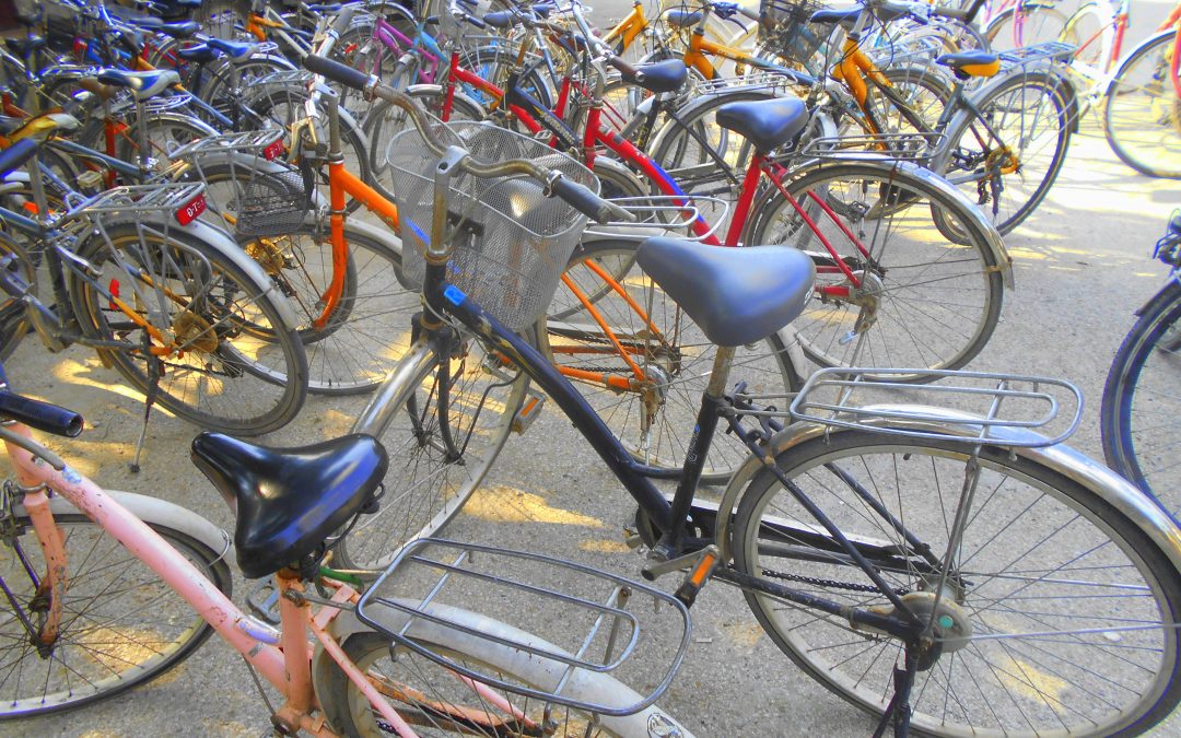 Las bicicletas no solo son para el verano ¿pedaleamos?