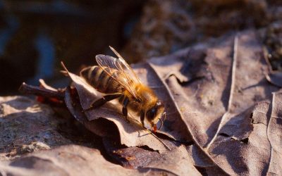 Reducción de jornada por cuidado de hijos