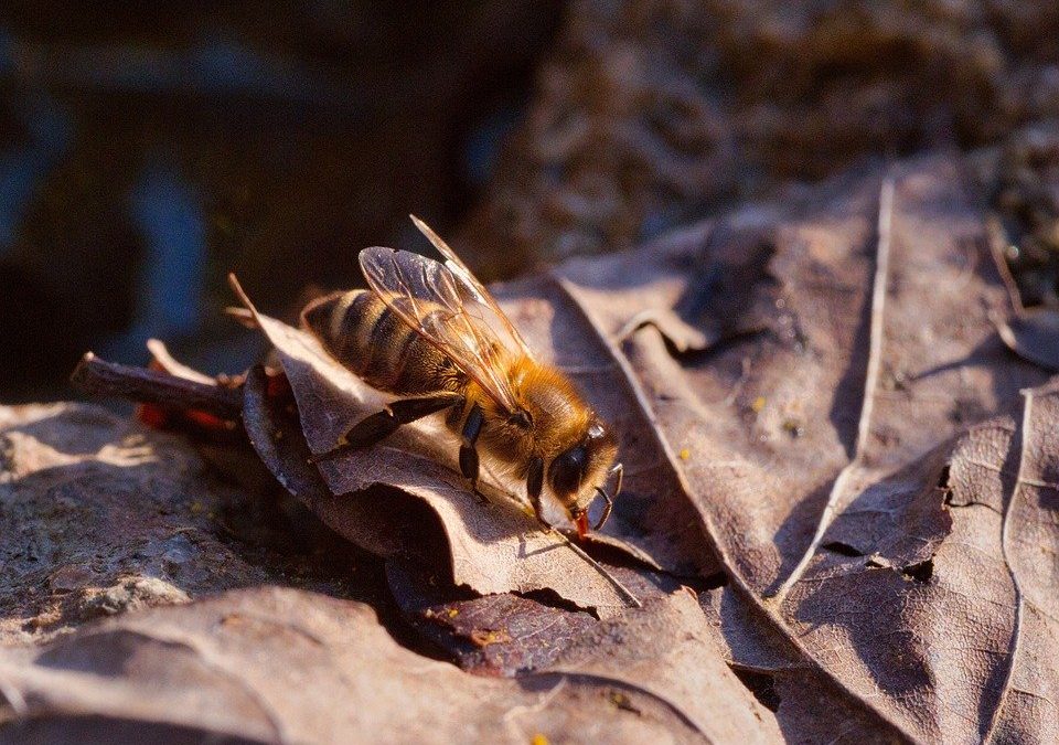 Reducción de jornada por cuidado de hijos